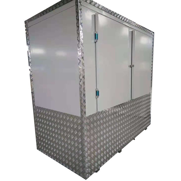 two doors professional cold room for ice bag sale