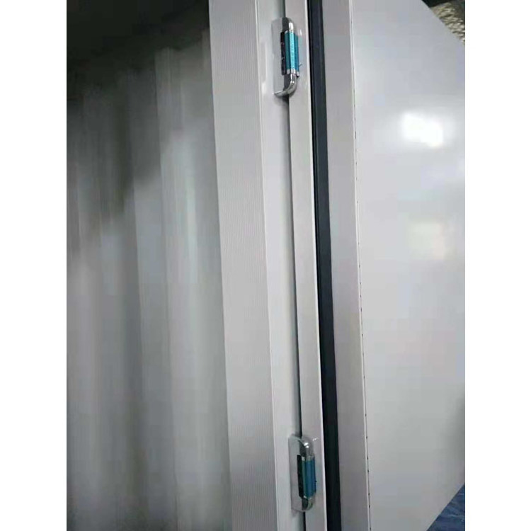 two doors professional cold room for ice bag sale