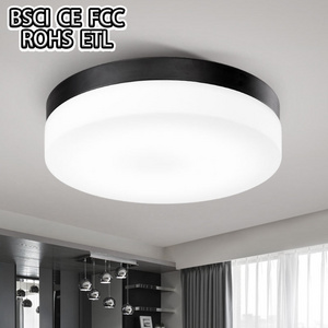 Modern Bedroom Living room Round Flushmount Ceiling lighting fixture Opal Glass Drum shade LED Flush mount Ceiling Light