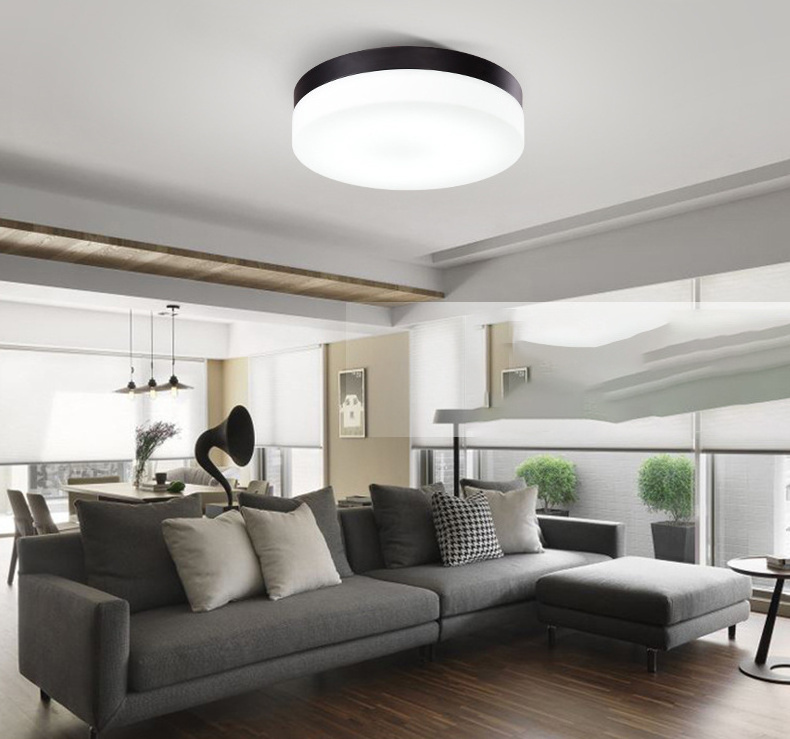 18w 24w flush mount round led ceiling panel lights modern white glass shade black nickel base LED flushmount light