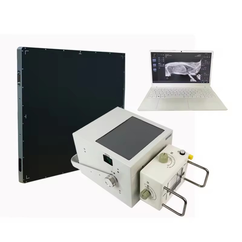 Medical Radiology Diagnostic Equipment 5.3Kw Dr X Ray System Mobile Digital Veterinary Xray Machine