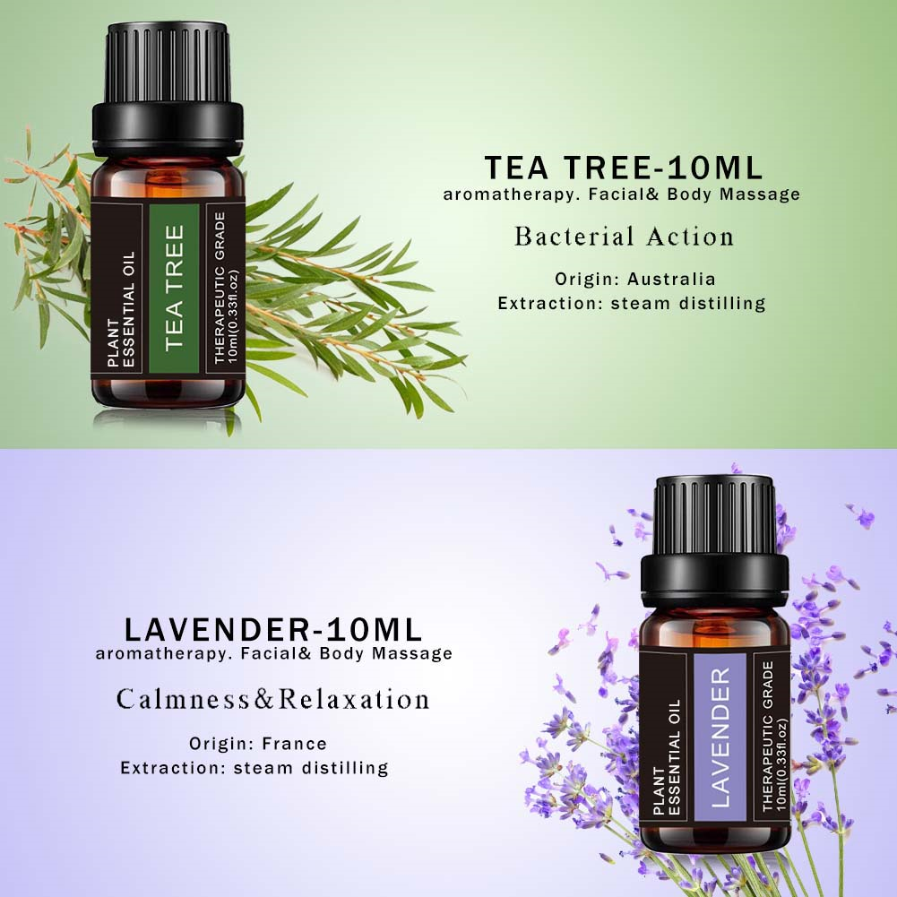 6 Packs Aromatherapy Essential Oils Private Label Gift Set 10ml Lavender Oil For Diffuser Relaxation And Calming