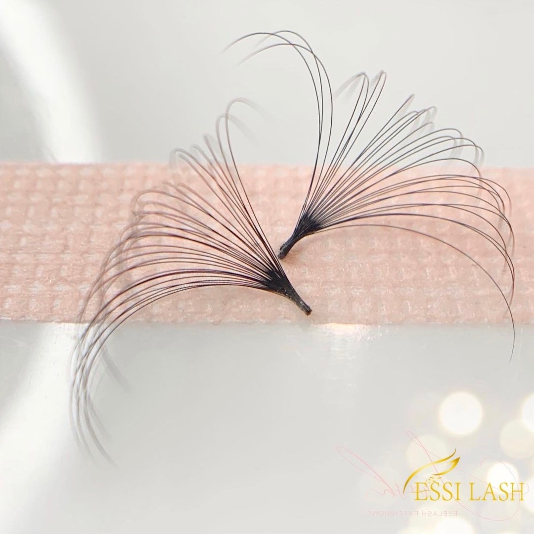 Cashmere Mink Easy Blooming Eyelash Extension Private Label Jet Black 0.03 0.05 0.07 Automatic Easy Fan Lashes Extension Tray