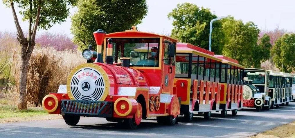 Outdoor Shopping Mall Luna Park Carnival Electric Trackless Train For Adults