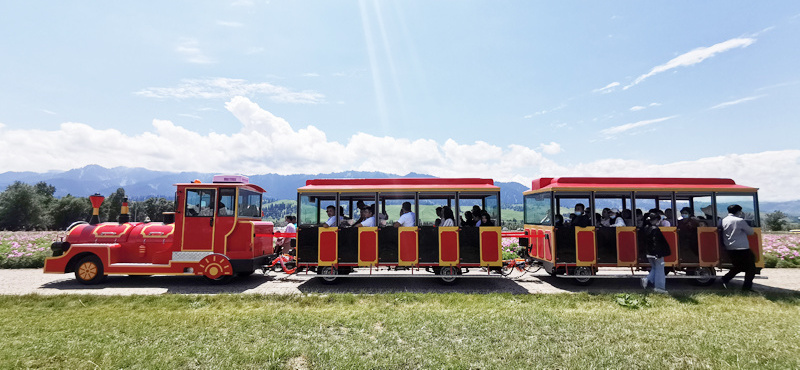 Outdoor Shopping Mall Luna Park Carnival Electric Trackless Train For Adults