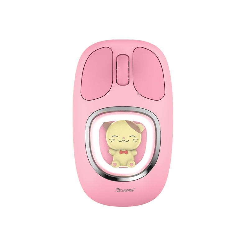 Lovely design 2.4G wireless & BT 3.0-5.0 rechargeable Type-C Mouse Gift Mouse for Kids Girls Madam MW-063PR