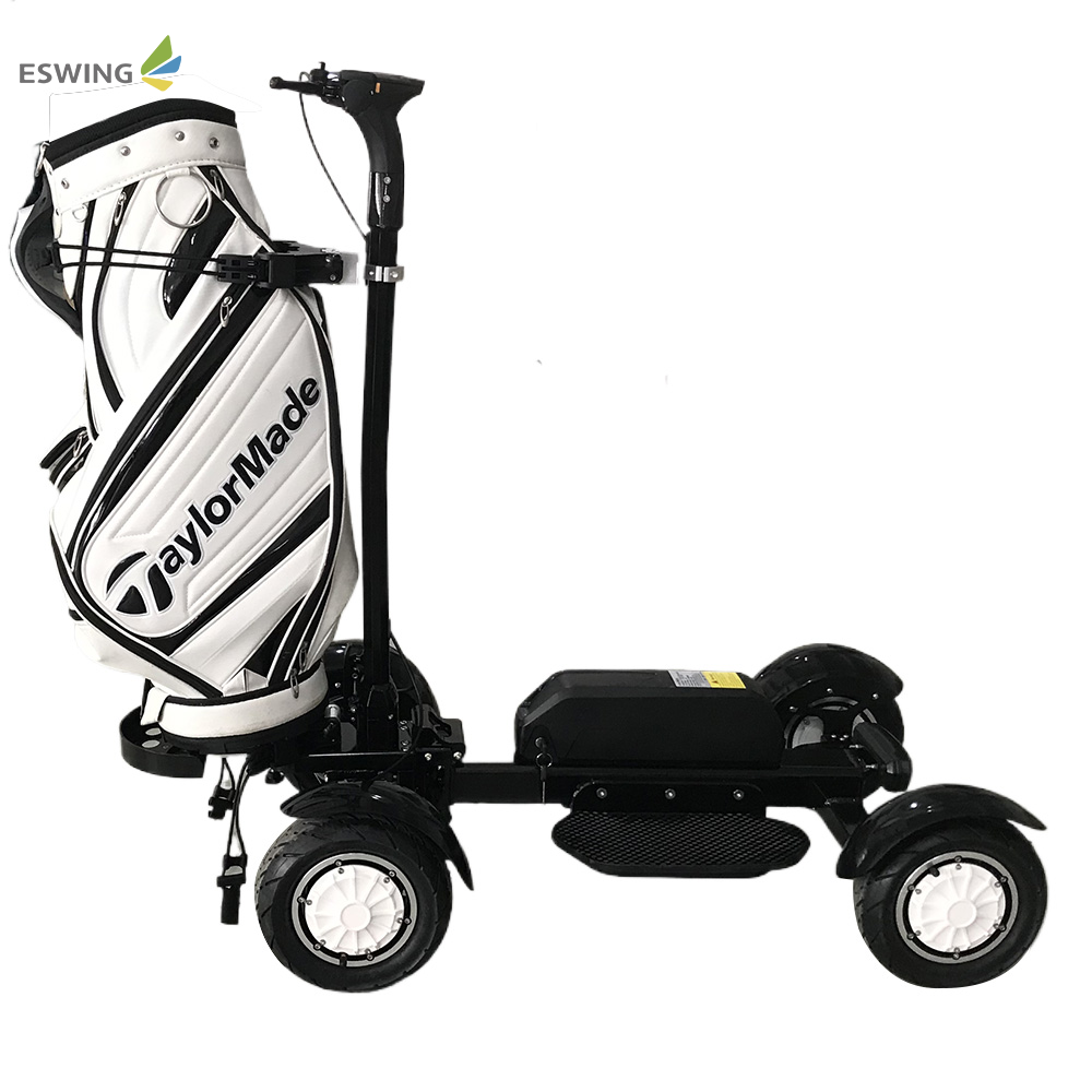 cheap price 4 wheel powered lithium removable foldable 2000-2400W mini carrito de car Chinese golf  carts