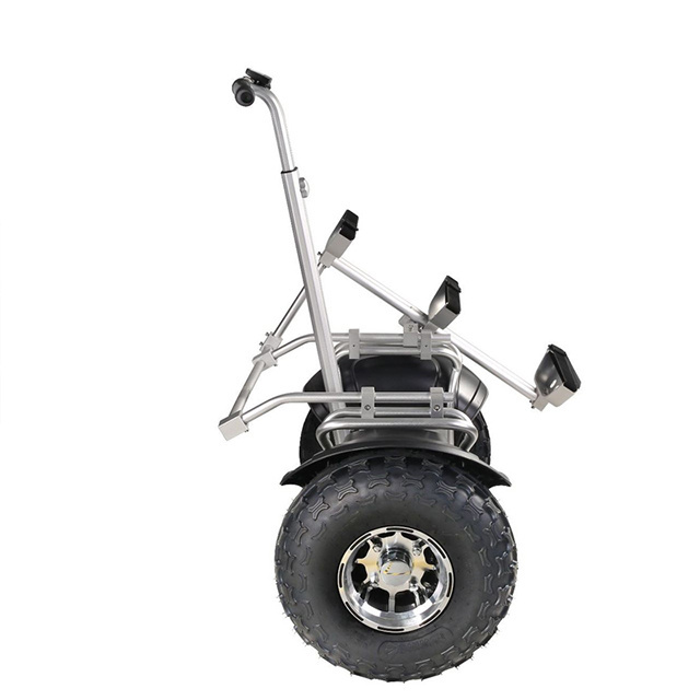 2019 Newest stand up off road 2 wheel self balancing electric golf cart scooter