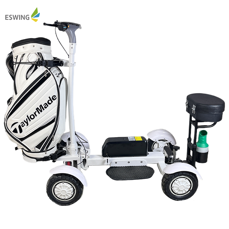 Eswing Factory price 4 wheel lithium folding removable mini golf car Chinese electric mobility scooter golf carts