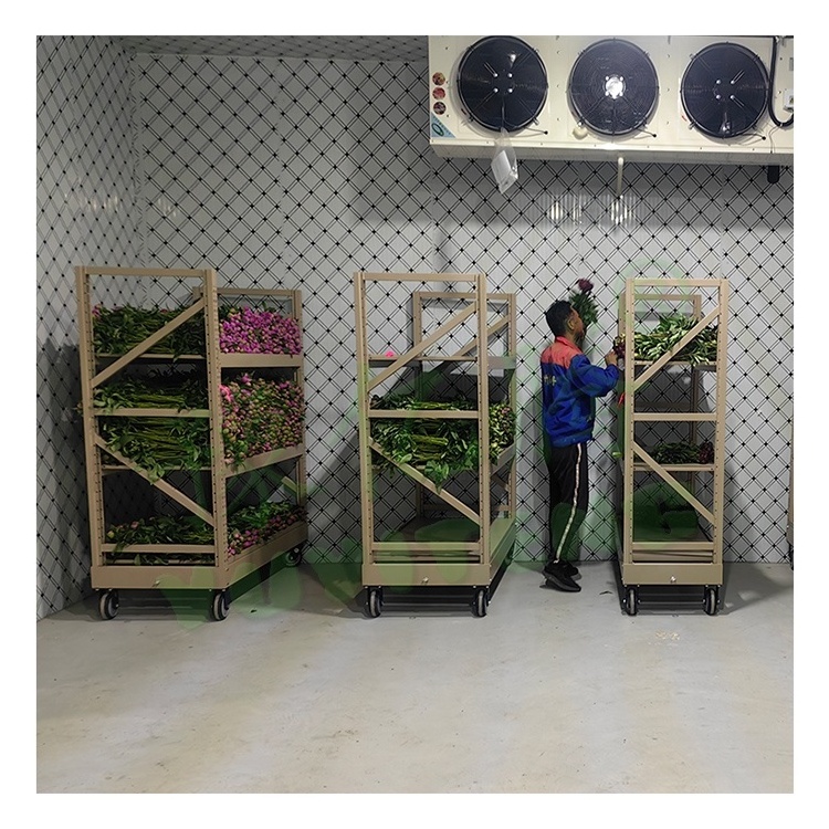 Hot Sale Horticultural Folding Flower Cart Greenhouse Transport 3 layer Flower Plant Pot Trolleys