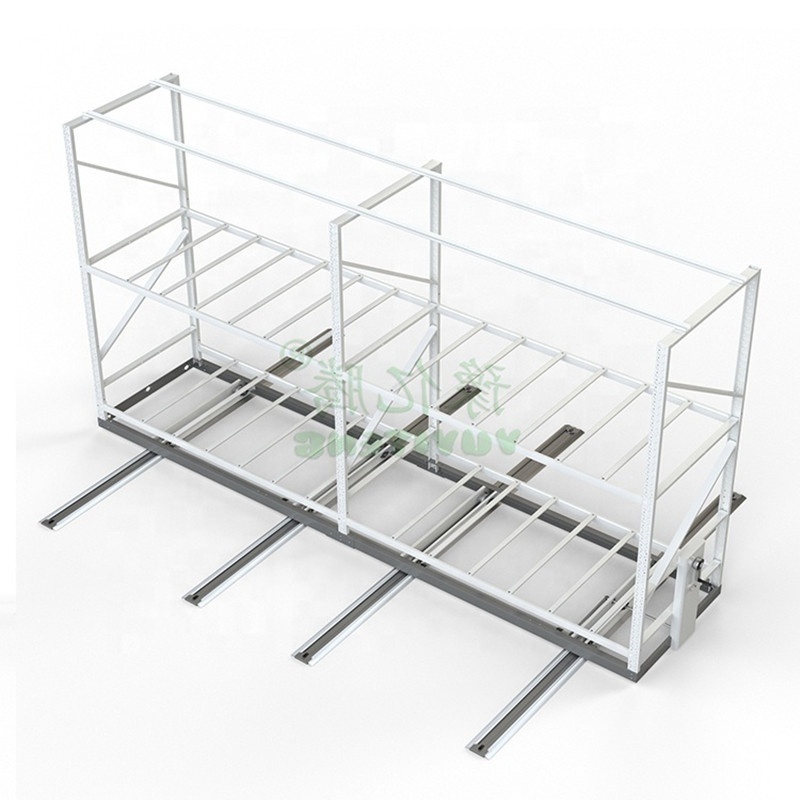 Large Vertical Mobile Grow Rack with Wheels Double Deck Shelves for Indoor Planting for Agricultural Greenhouses