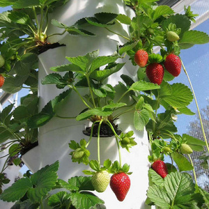 Vertical aeroponic tower garden hydroponic aeroponics system