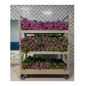 Hot Sale Horticultural Folding Flower Cart Greenhouse Transport 3 layer Flower Plant Pot Trolleys