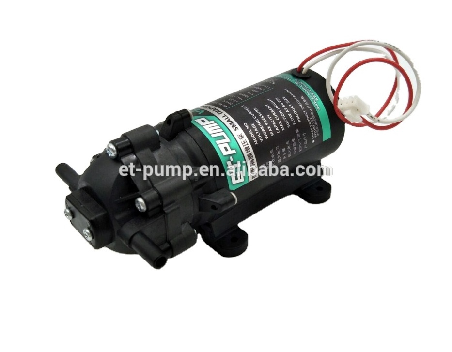 V2-45-50A The smallest diaphragm DC24V 50G Ro booster pump