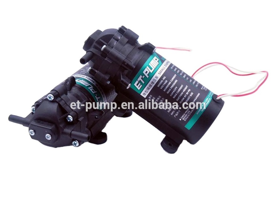 V2-45-50A The smallest diaphragm DC24V 50G Ro booster pump