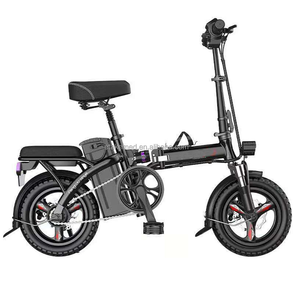 Electric Bike Foldable Fat Tire EBike 48V 8AH Li-ion Battery 350W Motor 20