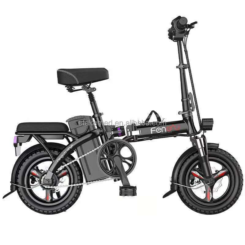 Electric Bike Foldable Fat Tire EBike 48V 8AH Li-ion Battery 350W Motor 20