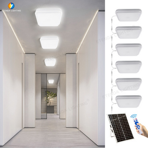 Outdoor Solar 50w 60w 100w 200w 300w 360w Ceiling Lamp Indoor Led Induction Garden Light