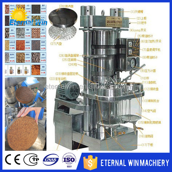 turkey cold oil expeller, fully automatic olive oil press machine, cold press olive oil machine grain seed oil press machine