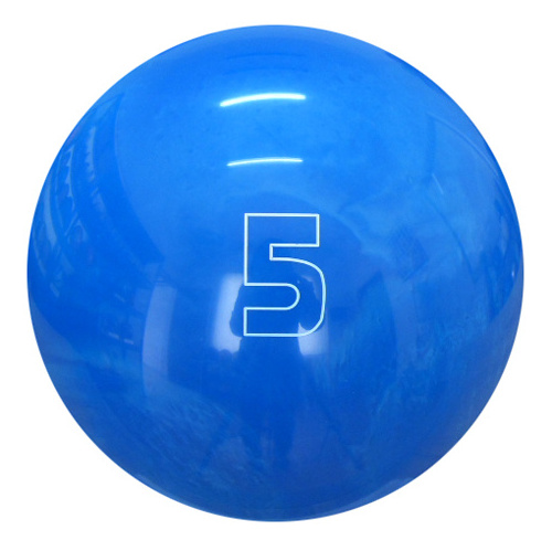 indoor bowling ball for sale