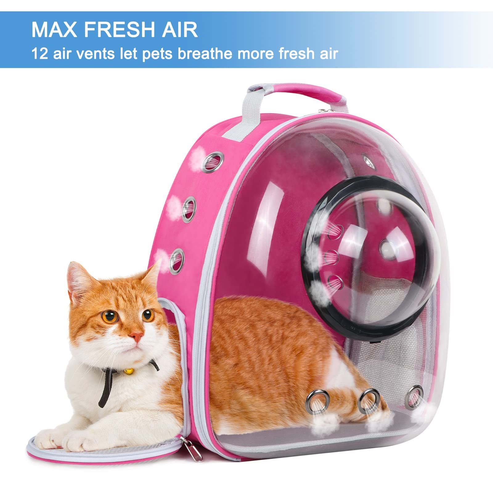 Wholesale space capsule bubble breathable travel transparent pet cat backpacks carrier