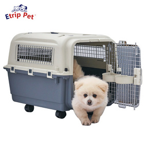 Premium luxury large portable airline approved cat pet dog hard-sided travel carrier