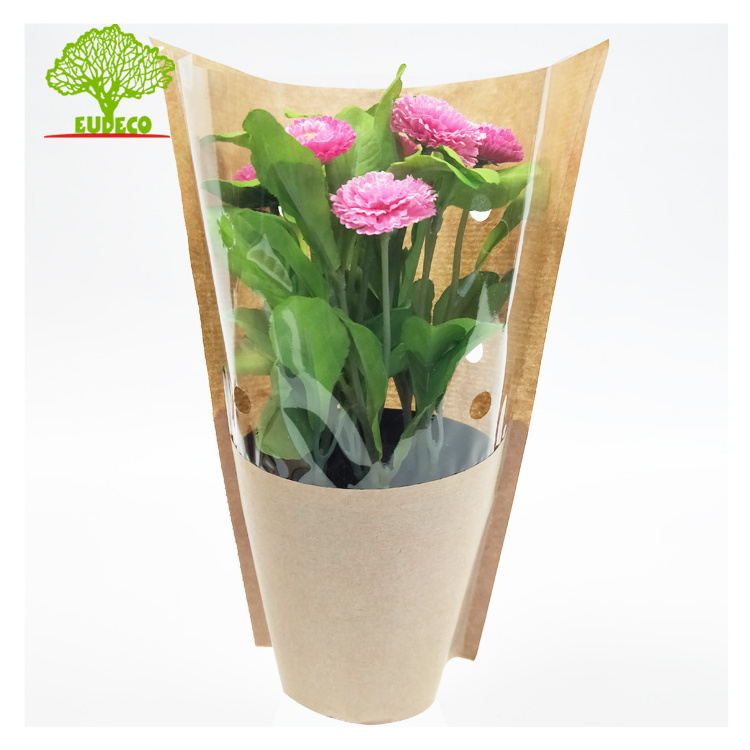 Customized Design Biodegradable Bopp+Kraft Paper Fresh Herbs Sleeve Living Lettuce Basil Salad Packaging Bag