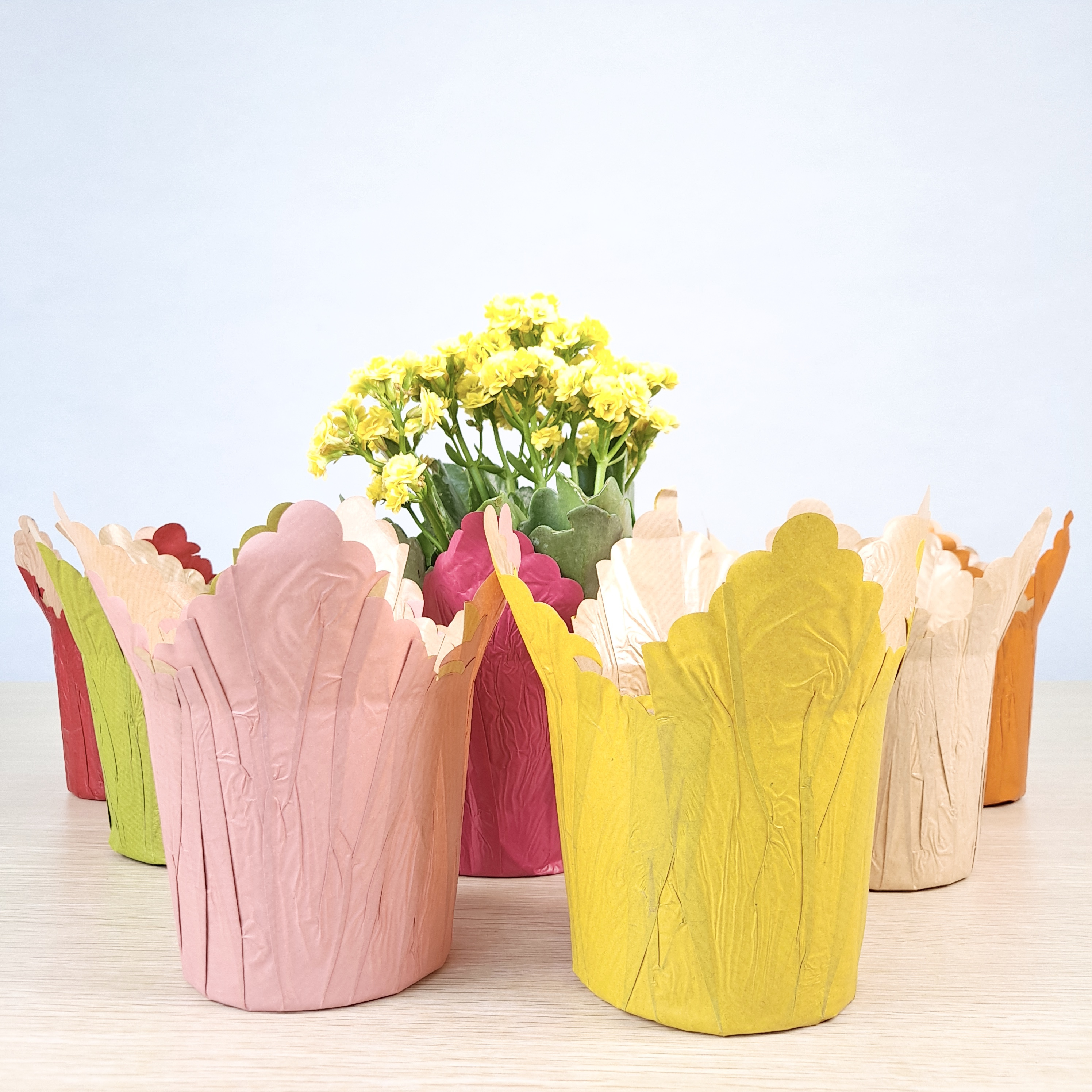 Factory Custom Recycled Kraft Paper  Flower Herb Plant Pot Covers Holder for decoration