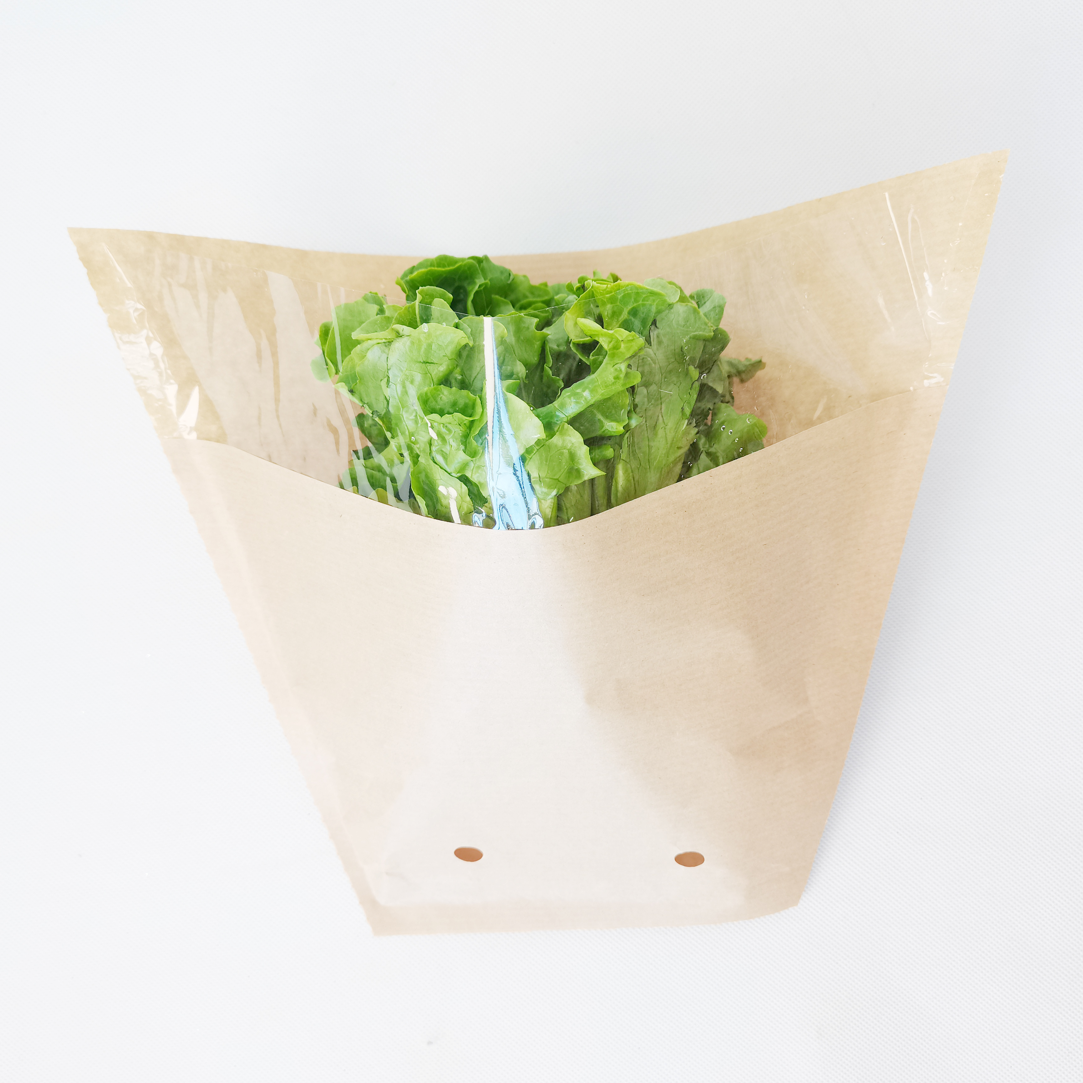 Biodegradable Bopp+Kraft Paper Plastic Bag for Hydroponics Living Lettuce Salad Fresh Herb Sleeve Packaging