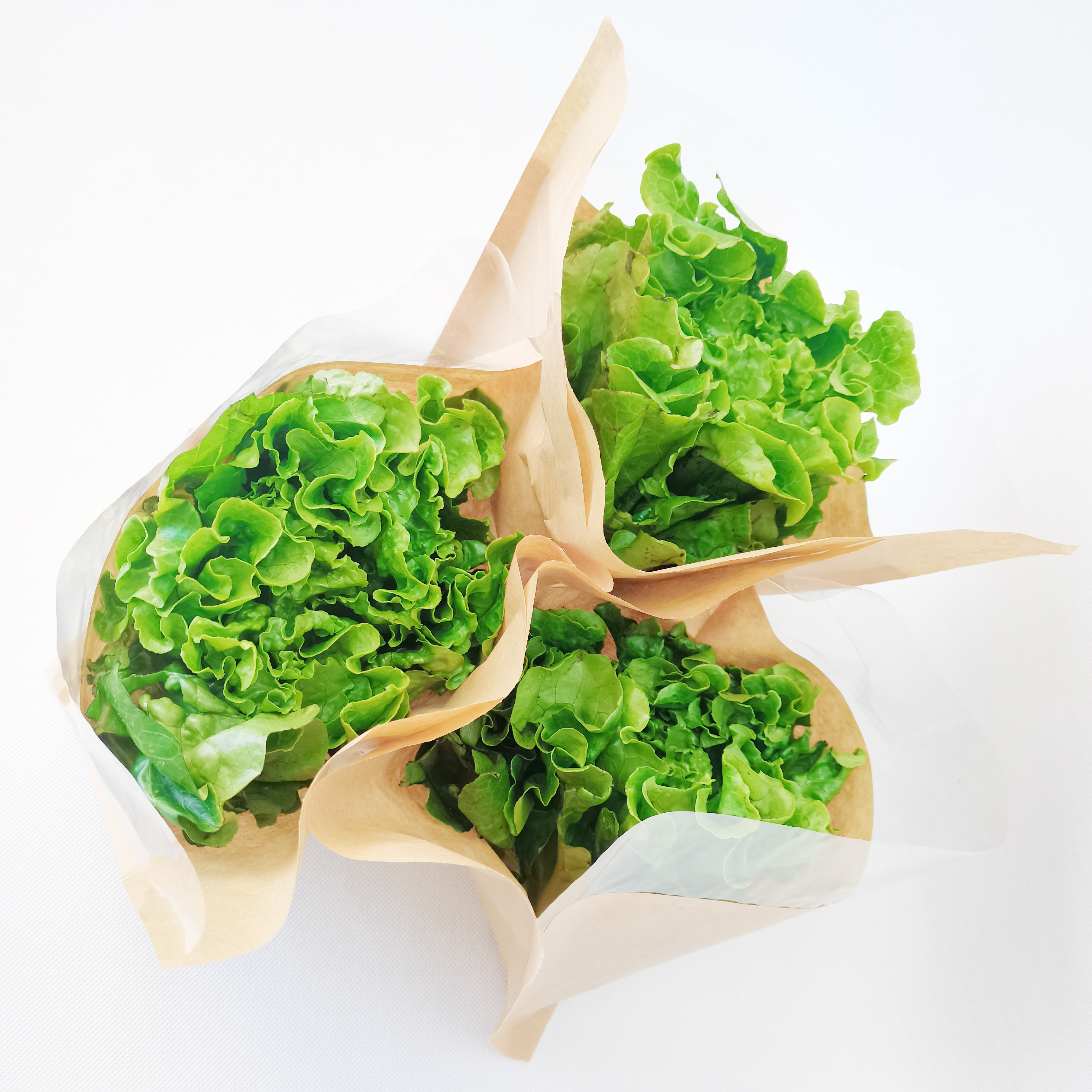 Biodegradable Bopp+Kraft Paper Plastic Bag for Hydroponics Living Lettuce Salad Fresh Herb Sleeve Packaging