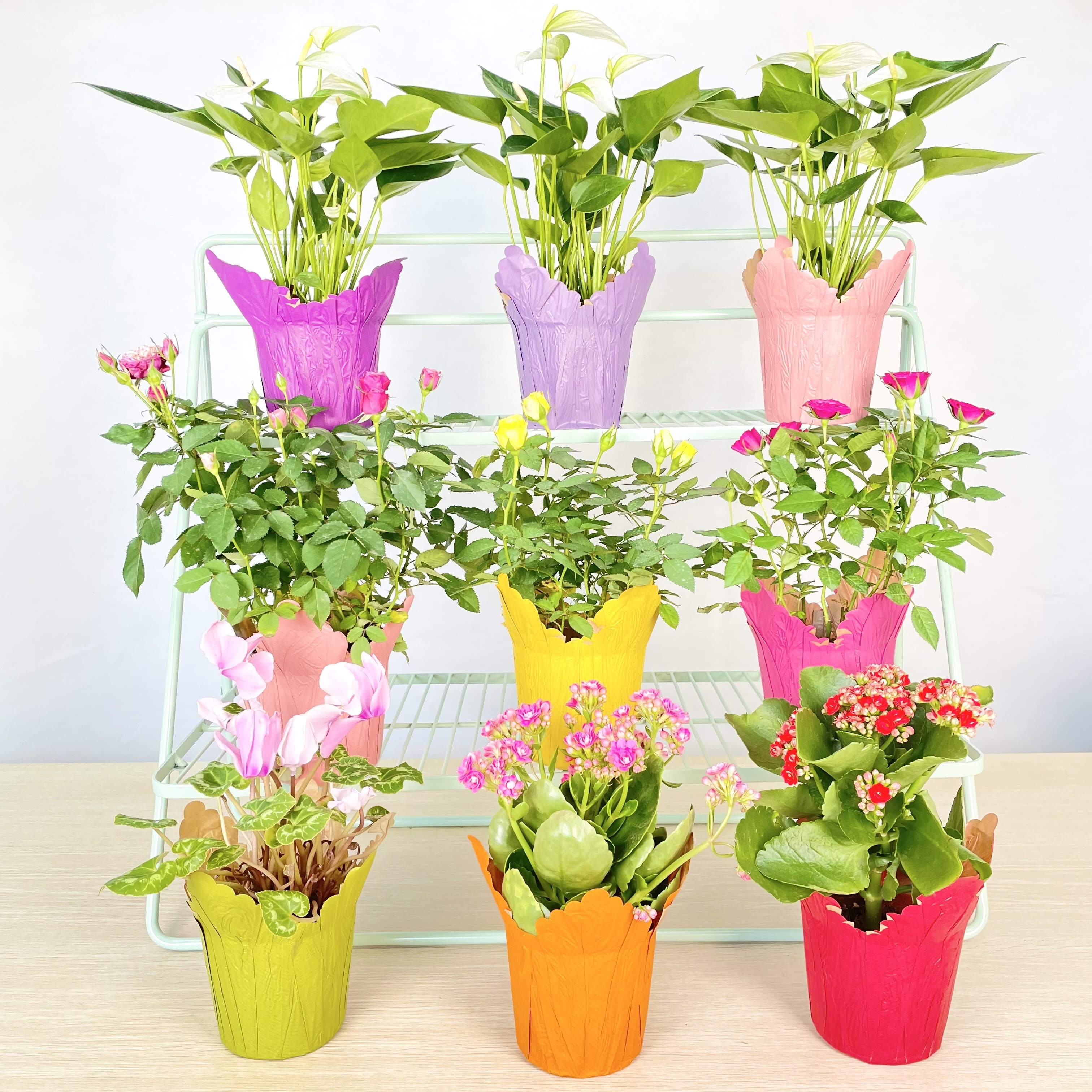 Factory Custom Recycled Kraft Paper  Flower Herb Plant Pot Covers Holder for decoration