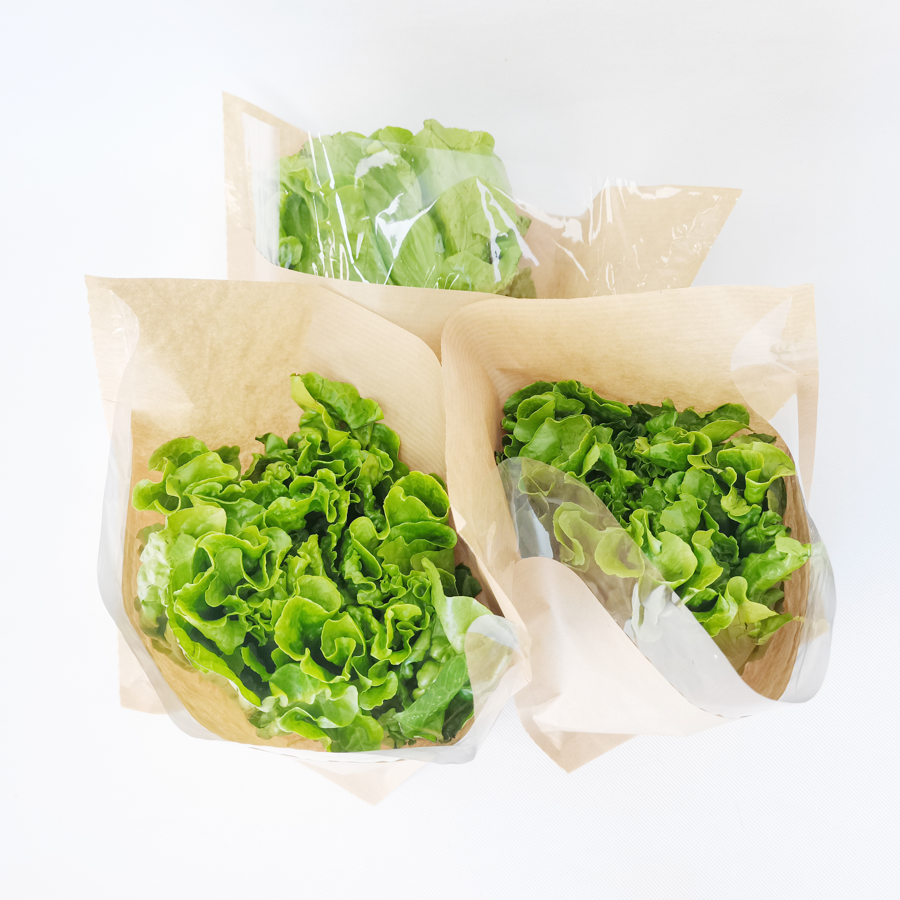 Biodegradable Bopp+Kraft Paper Plastic Bag for Hydroponics Living Lettuce Salad Fresh Herb Sleeve Packaging