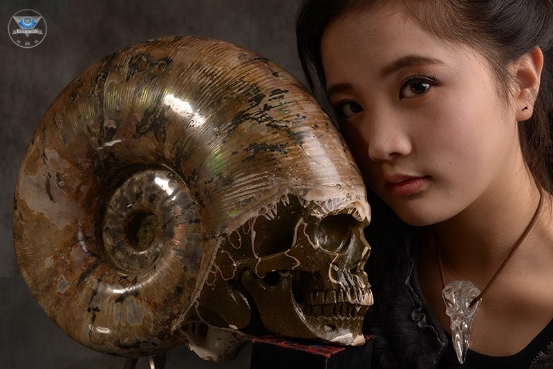 Eudemon wholesale Custom made hand-carved super realistic AMMONITE FOSSIL skull carvings for Reiki healing