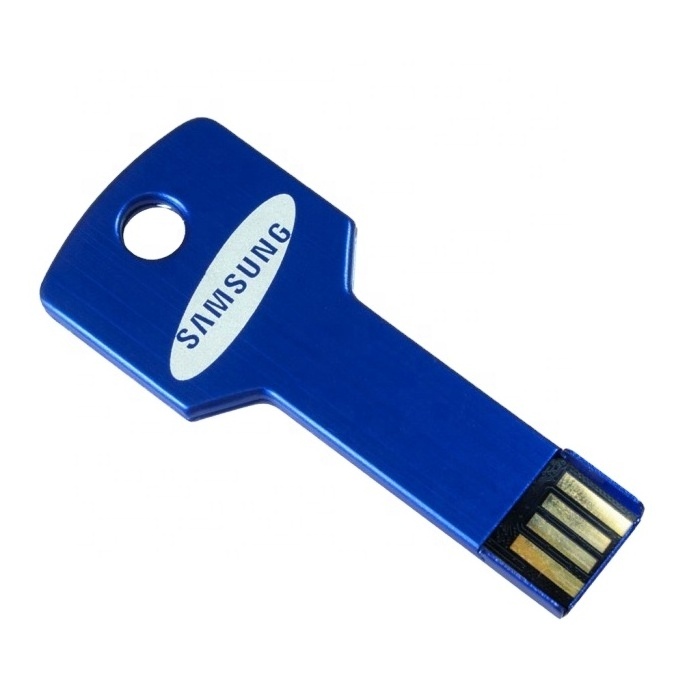 Professional flash disk usb usb sticks wholesale key with usb drive rcm clip disk