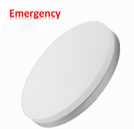 New 10% brightness dimmable 24w led emergency ceiling light with HF sensor for nursing home