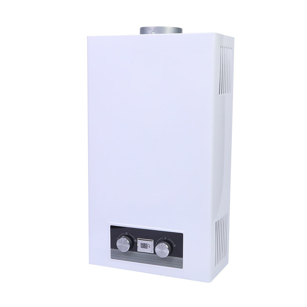 Geyser 20 L Europe Battery Operated 24kw Natural Heaters 10 Liter Whole House 6L Tankless Lg Design Gas Water Heater