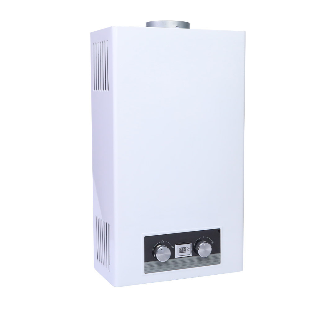 Geyser 20 L Europe Battery Operated 24kw Natural Heaters 10 Liter Whole House 6L Tankless Lg Design Gas Water Heater