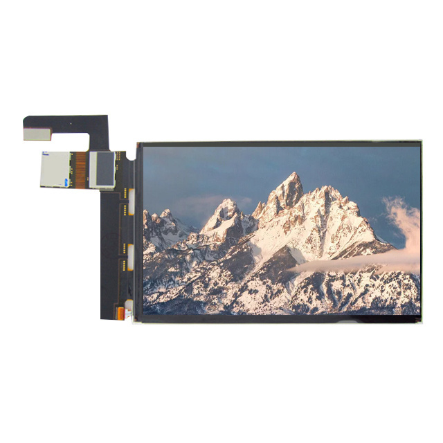 Custom China Manufacturer 1200*1920 LCD Screen IPS 7 Inch LCD Display To LCD OLED Display