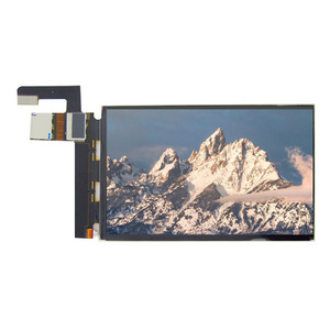 Custom China Manufacturer 1200*1920 LCD Screen IPS 7 Inch LCD Display To LCD OLED Display