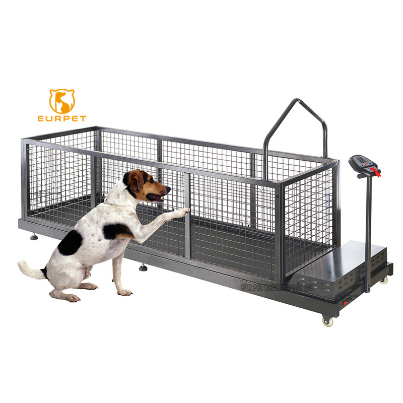 EURPET Hot Sale Dog Sport Equipment for Pet Exercise and Losing Weight Dog Training Treadmill for Medium and Large Dog