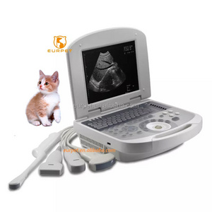 EUR PET Panic Buying Ultrasound Probe Cover Better Siterite Vascular Ultrasound Toshiba Ultrasound Machine