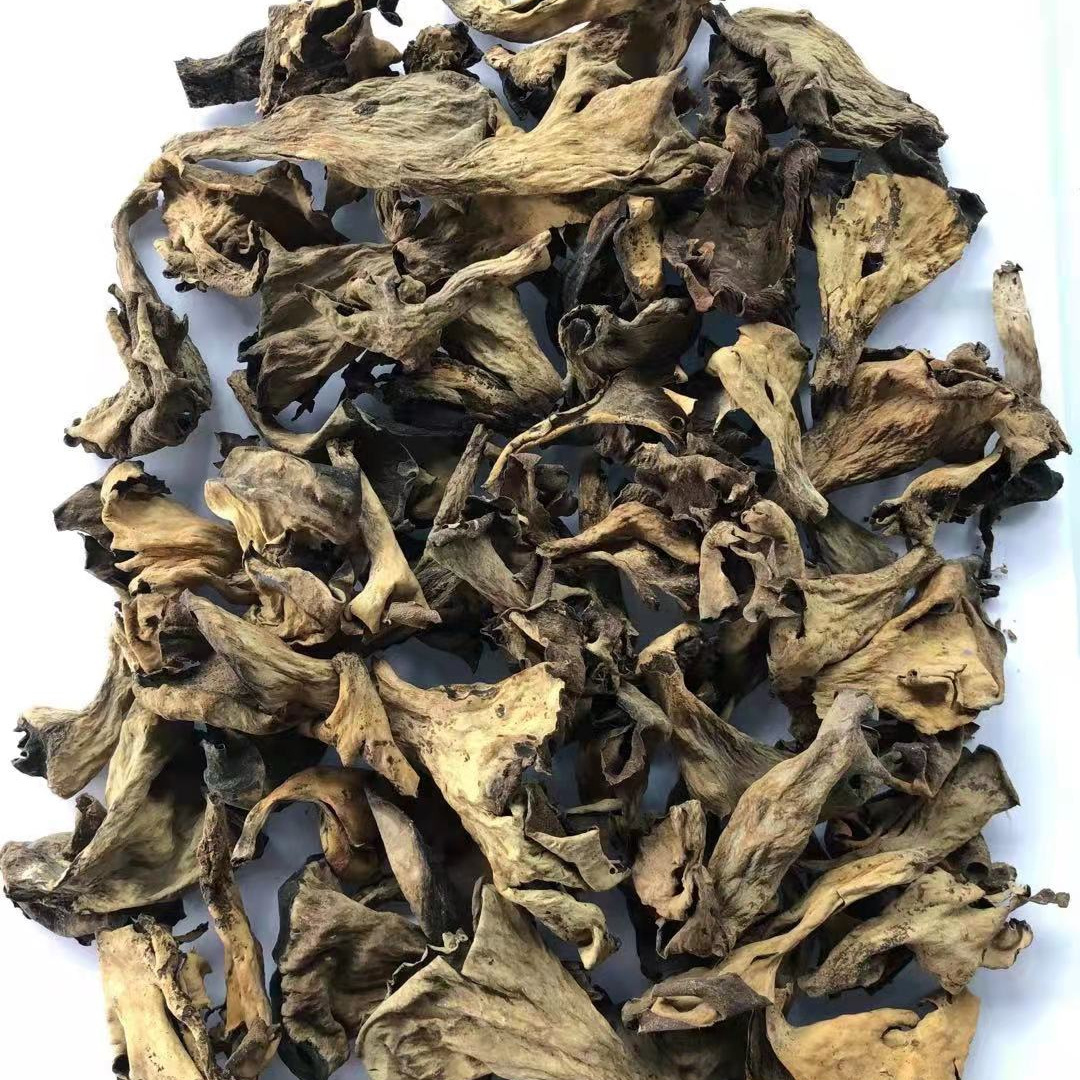 AD hot sale Plenty of Horn free sample factory price of dried Black chanterelle  Mushroom for sale