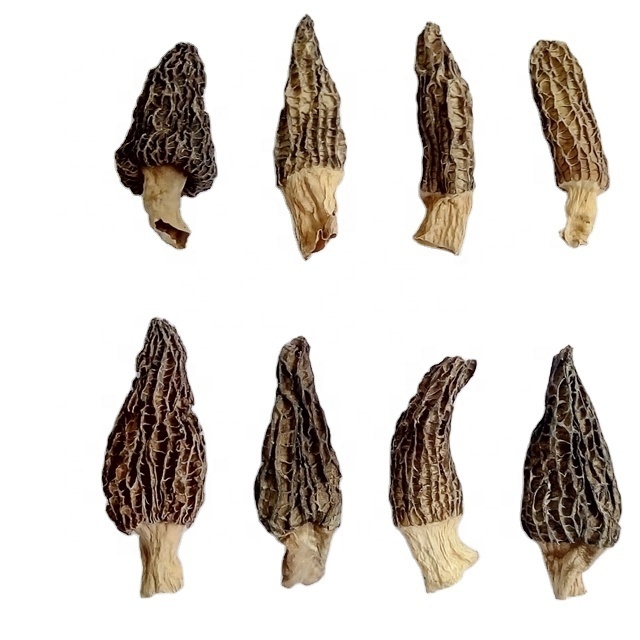 AD hot sale Plenty of Horn free sample factory price of dried Black chanterelle  Mushroom for sale