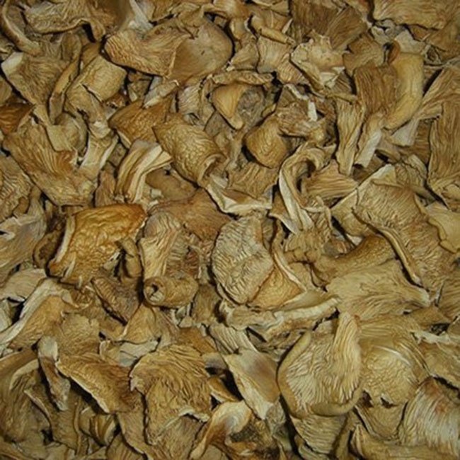 Cultivated High Quality AD dried Pleurotus Ostreatus Oyster mushrooms for Sale