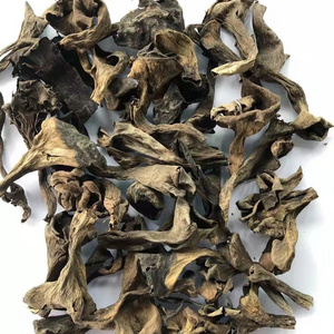 AD hot sale Plenty of Horn free sample factory price of dried Black chanterelle  Mushroom for sale