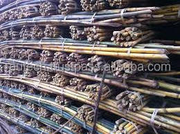 Rattan cane raw material, Rattan pole, Raw rattan cane material for funiture - Best quality