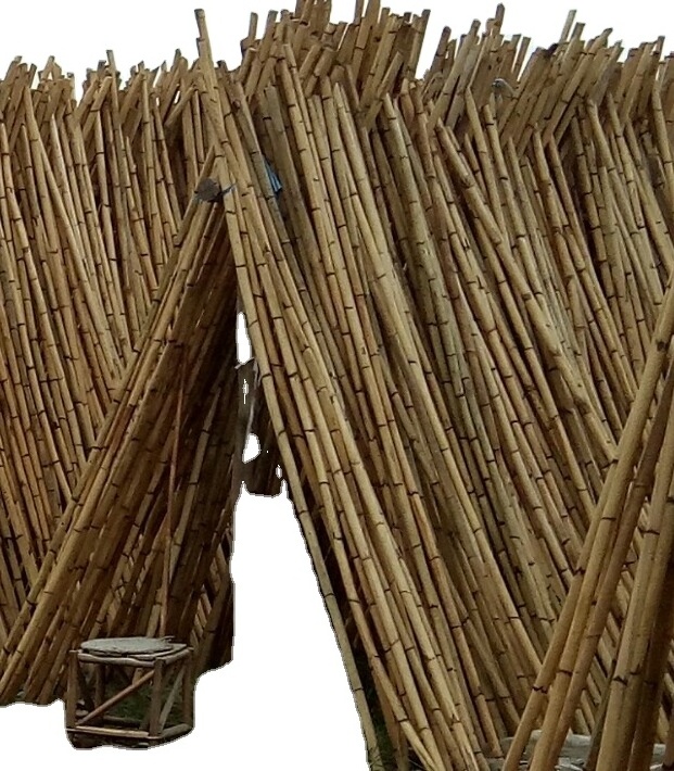 HIGH QUALITY Natural rattan cane , rattan pole