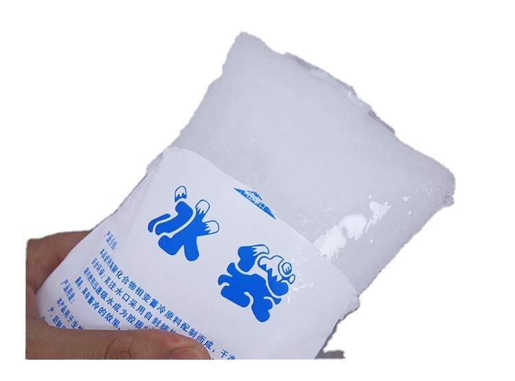 Free Sample Food Grade PE Gel Ice Bag Insulated Dry Cold Ice Pack Gel Cooler Bag for Food Fresh