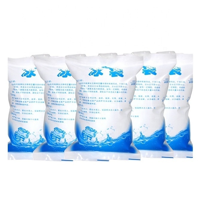 Reusable Insulated Cold Gel Cooling Bag Water Injection Freeze Dry Ice Pack for Food Fresh Shipping Delivery Transport