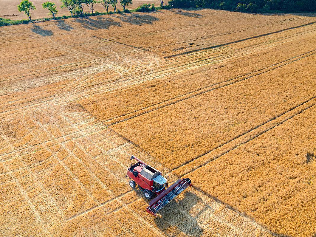 Agriculture Ginger Onion Garlic Potato Harvester Digger Machine for Sale